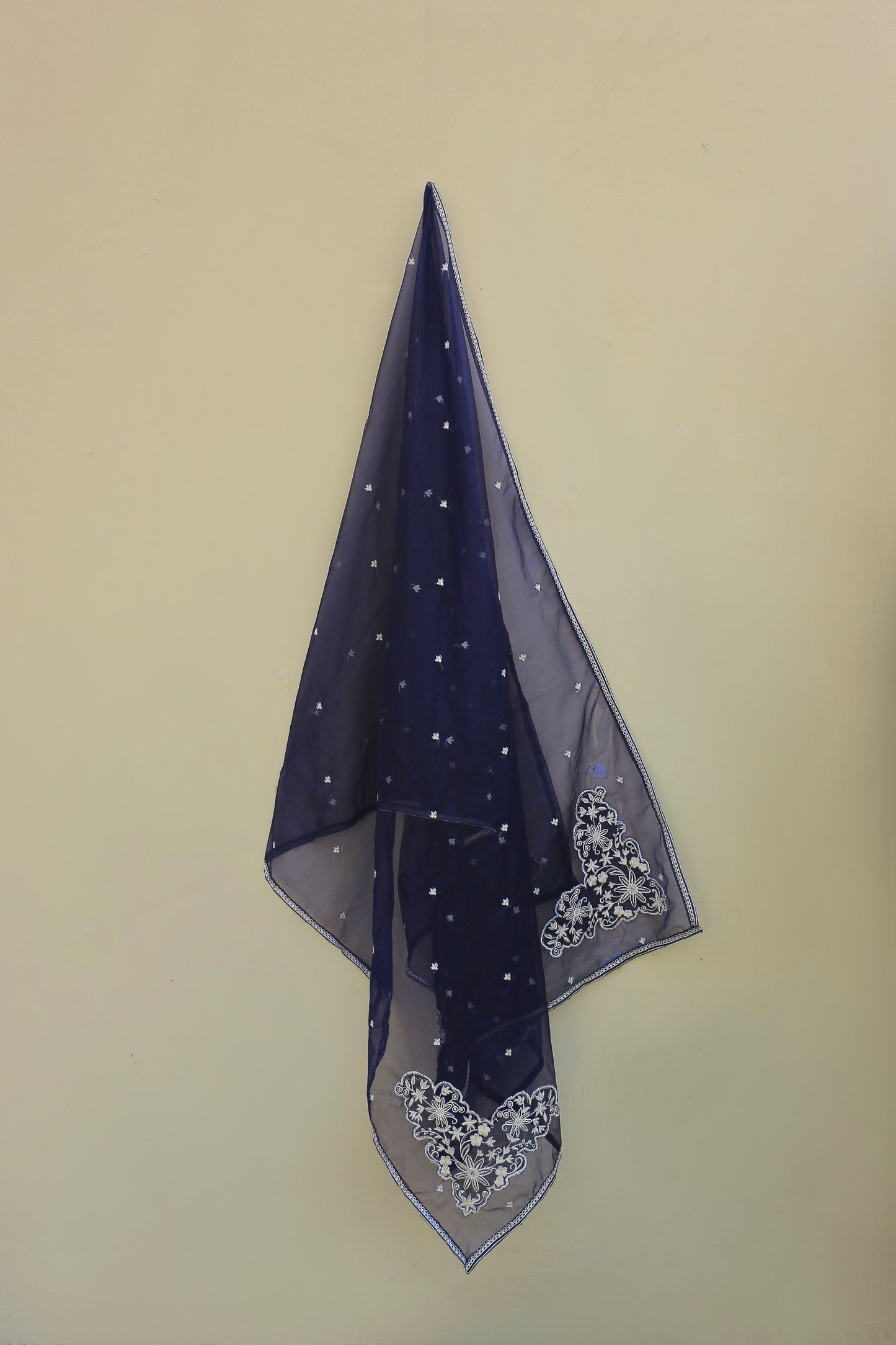 Blue Embroidered Suit