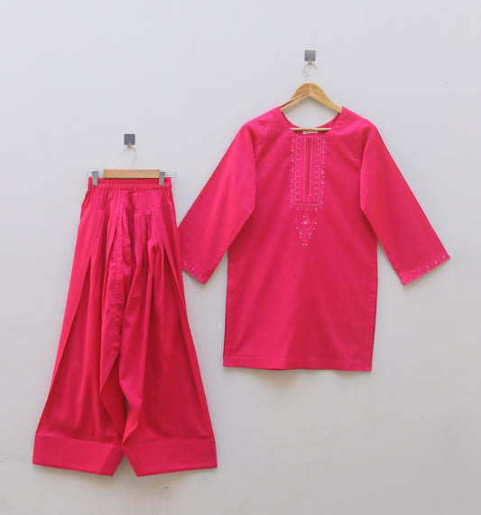 Pink Embroidered Suit