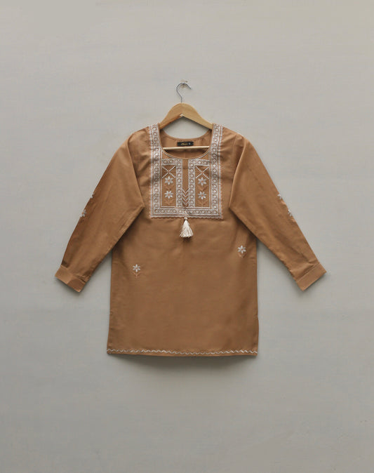 Brown Embroidered Top