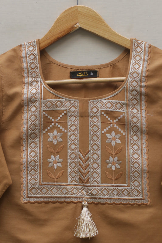 Brown Embroidered Top